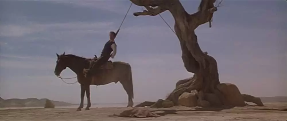 マーヴェリックの画像