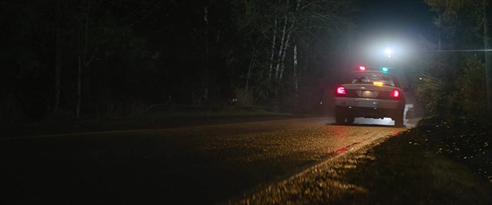 ソニック・ザ・ムービー／ソニック VS ナックルズの画像