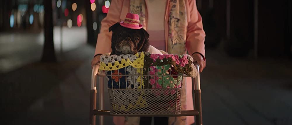 ソニック・ザ・ムービー／ソニック VS ナックルズの画像