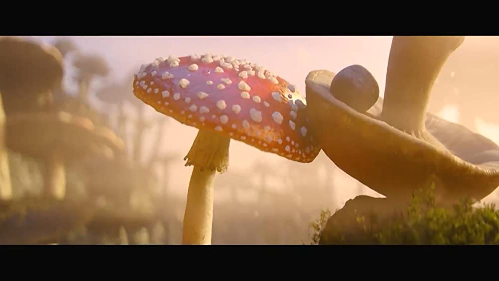 ソニック・ザ・ムービー／ソニック VS ナックルズの画像