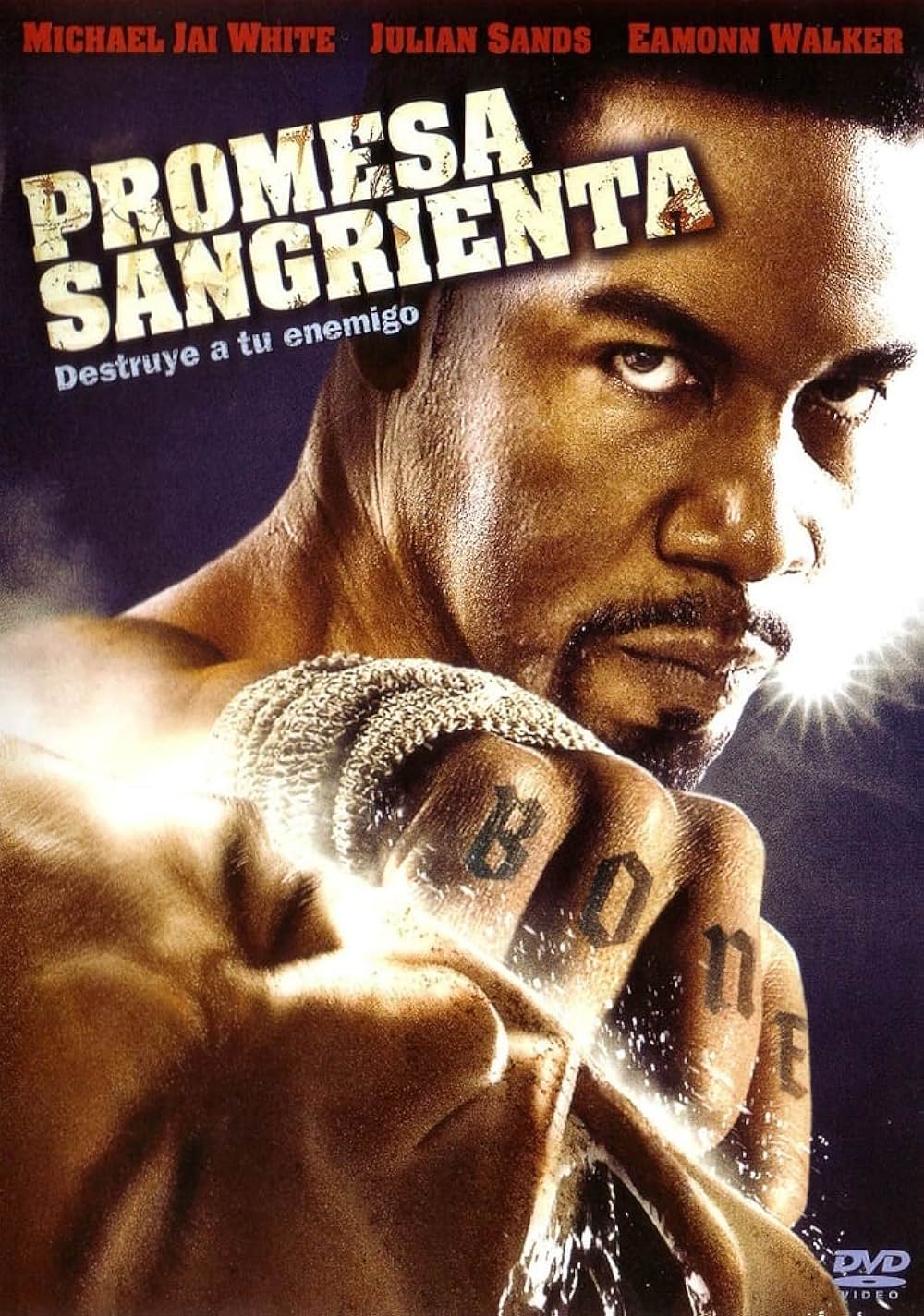 ブラッド&ボーン 真拳闘魂の画像