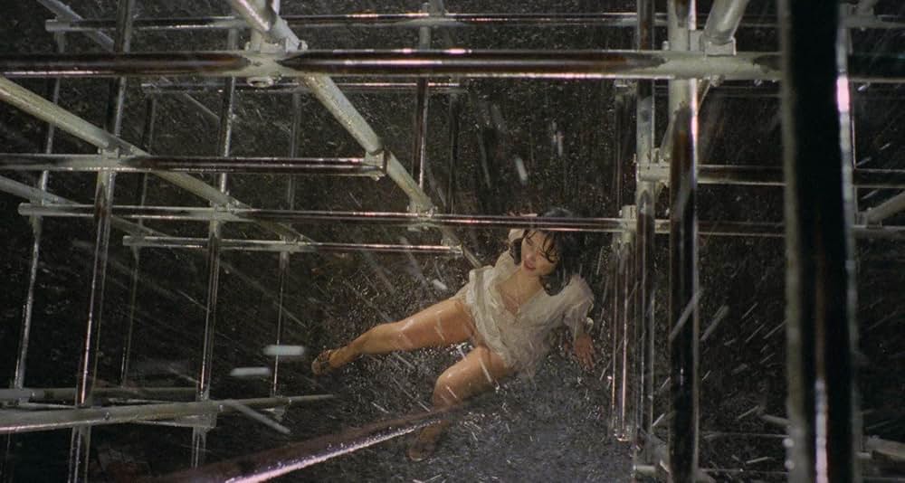 天使のはらわた 赤い淫画の画像