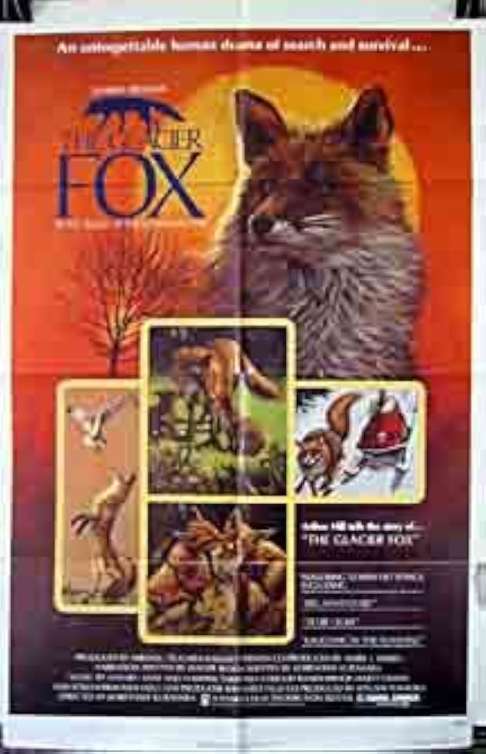 キタキツネ物語の画像