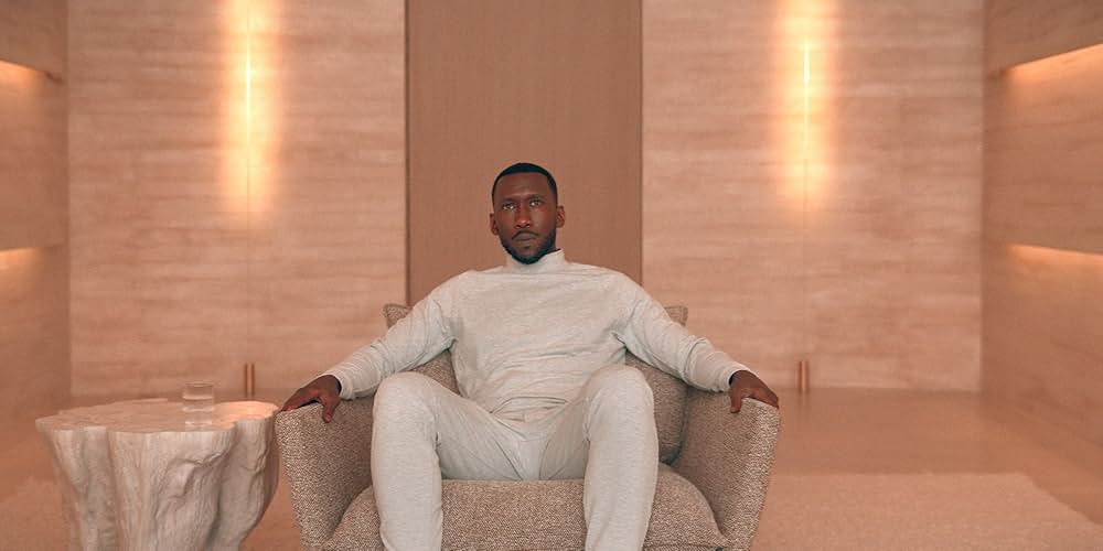 スワン・ソングの画像