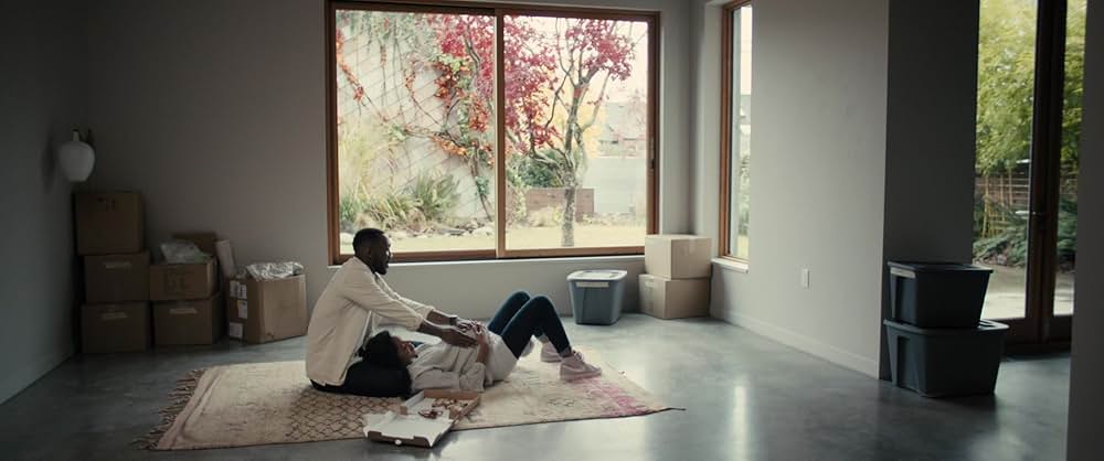 スワン・ソングの画像