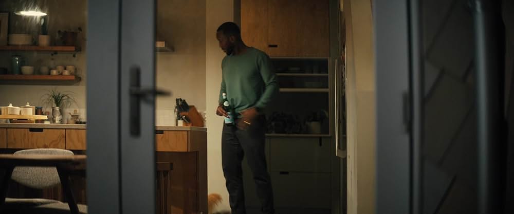 スワン・ソングの画像