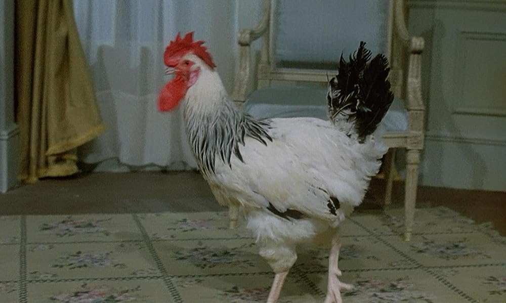 自由の幻想の画像