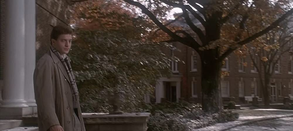 青春の輝きの画像