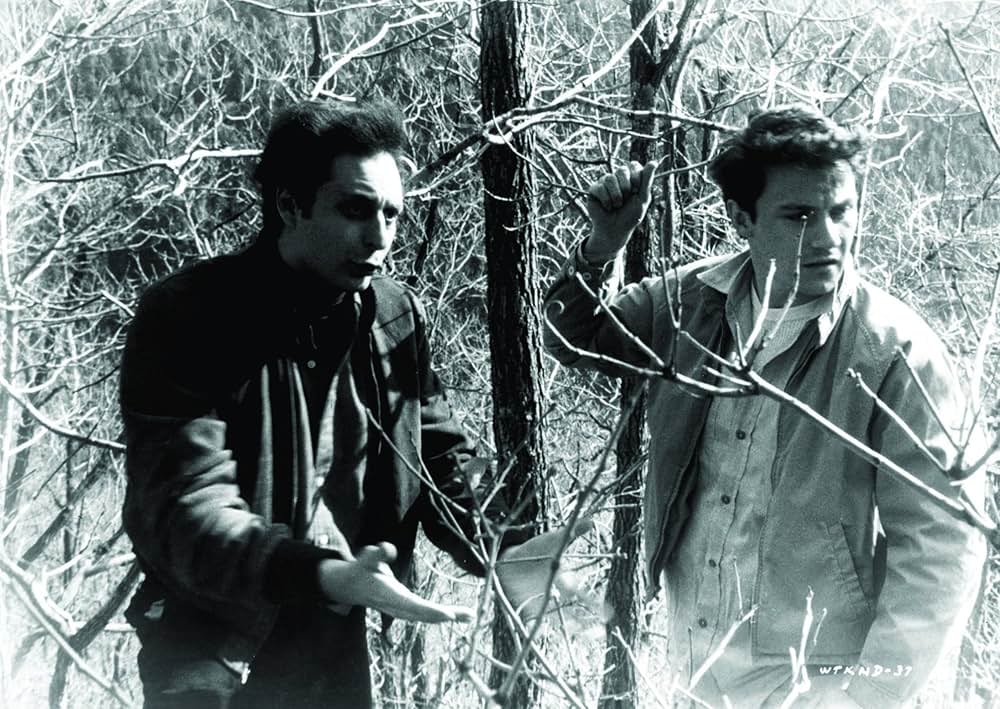 ドアをノックするのは誰?の画像