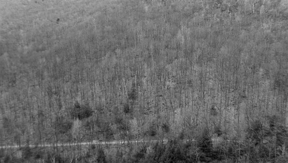 ドアをノックするのは誰?の画像