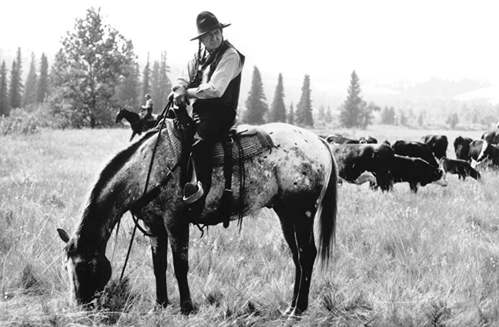 レジェンド・オブ・フォール／果てしなき想いの画像