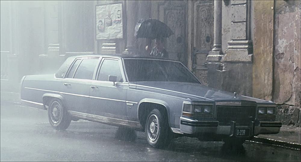 苺とチョコレートの画像