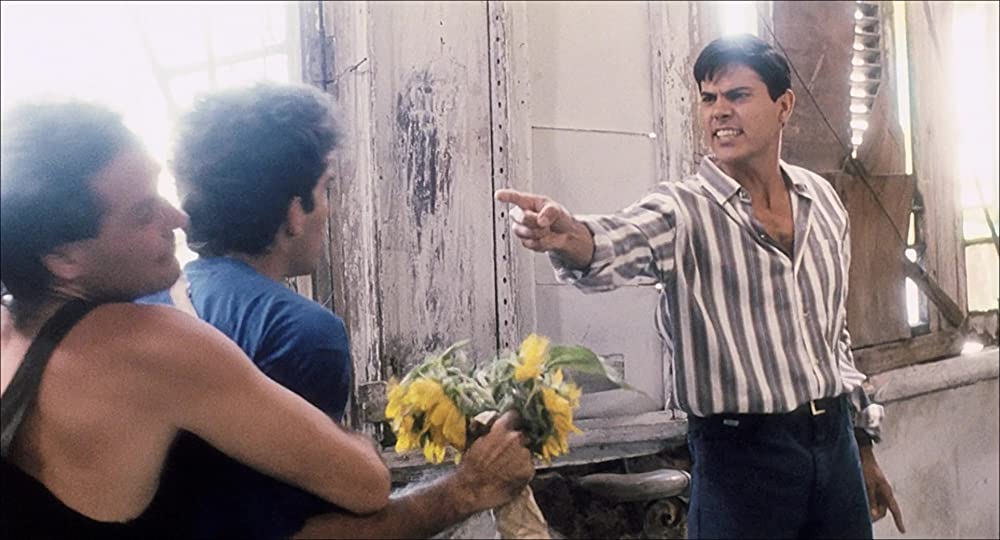 苺とチョコレートの画像