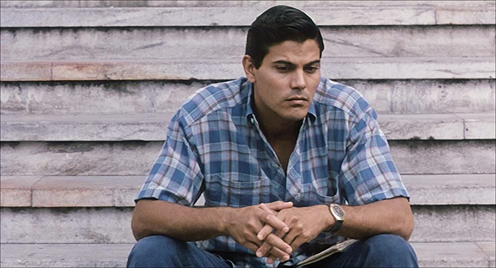 苺とチョコレートの画像