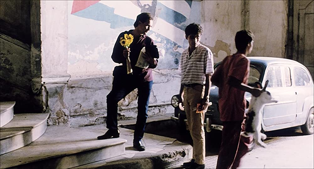 苺とチョコレートの画像