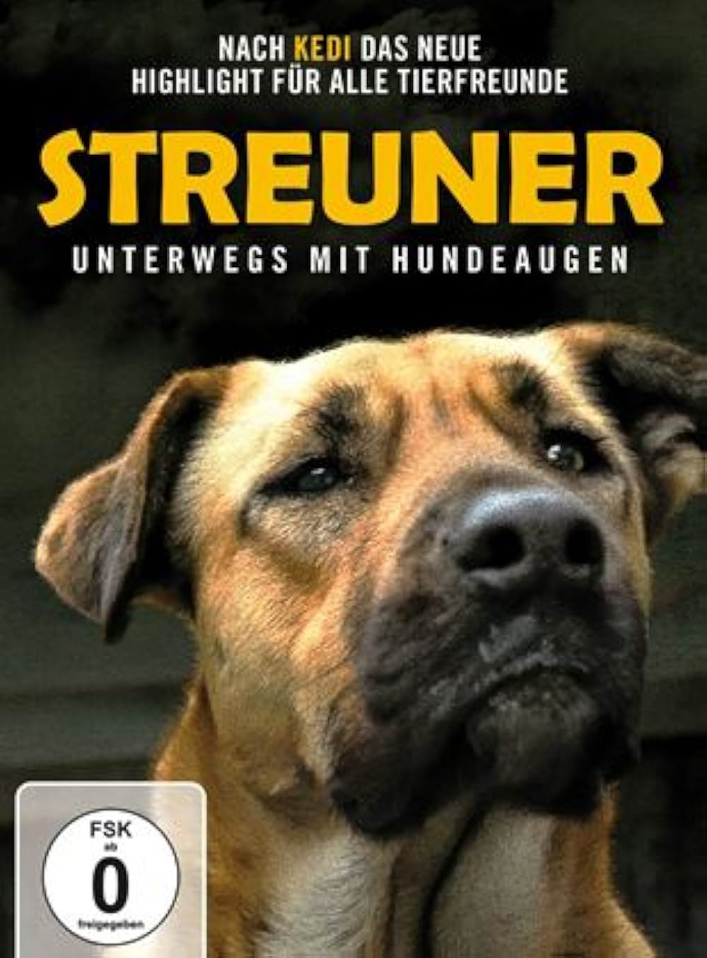 ストレイ 犬が見た世界の画像