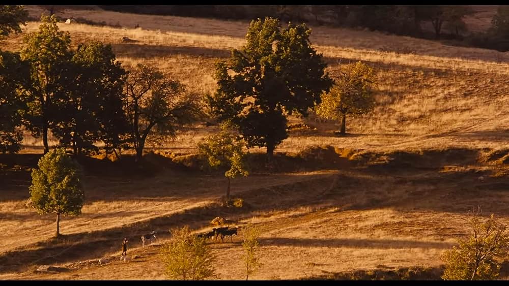 ビフォア・ザ・レインの画像