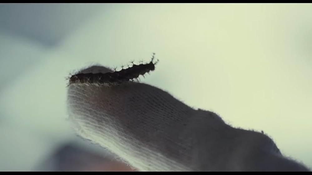 ビフォア・ザ・レインの画像