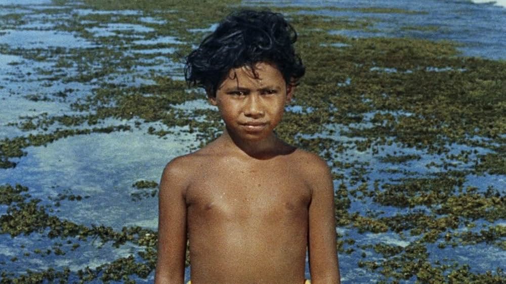 チコと鮫の画像