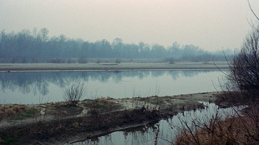 テオレマの画像