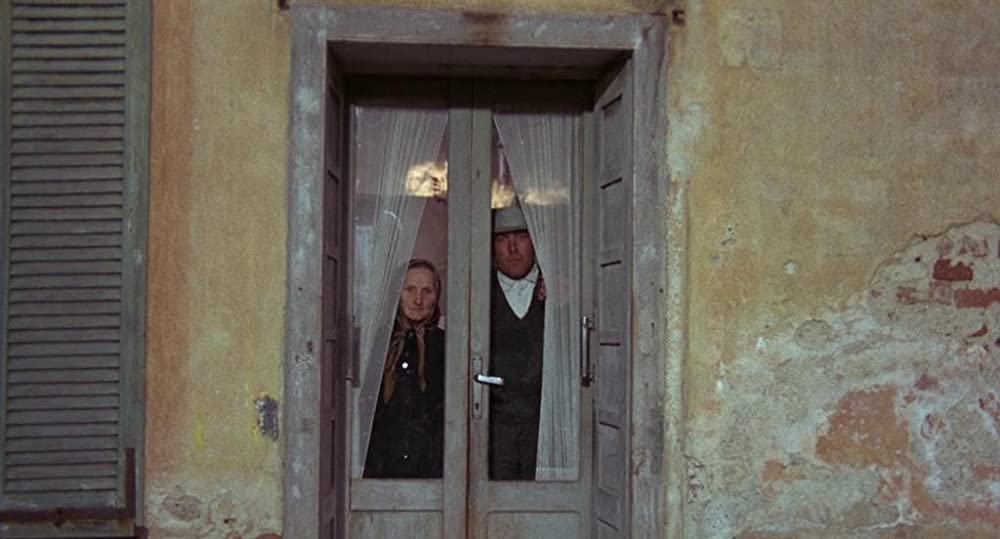 テオレマの画像