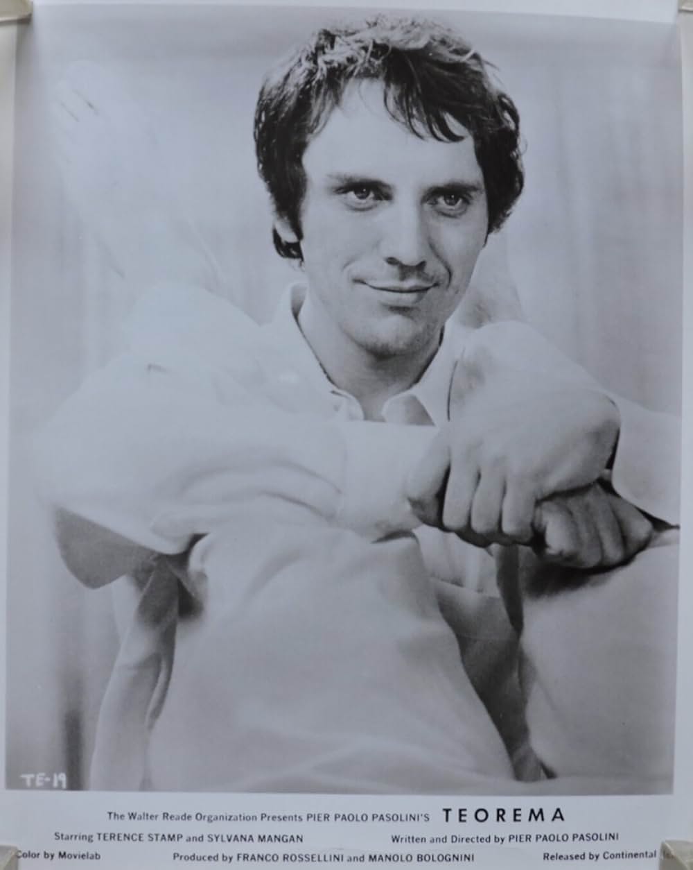 テオレマの画像