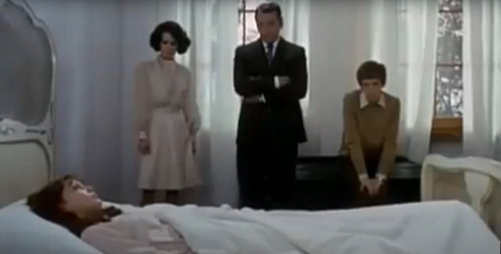 テオレマの画像