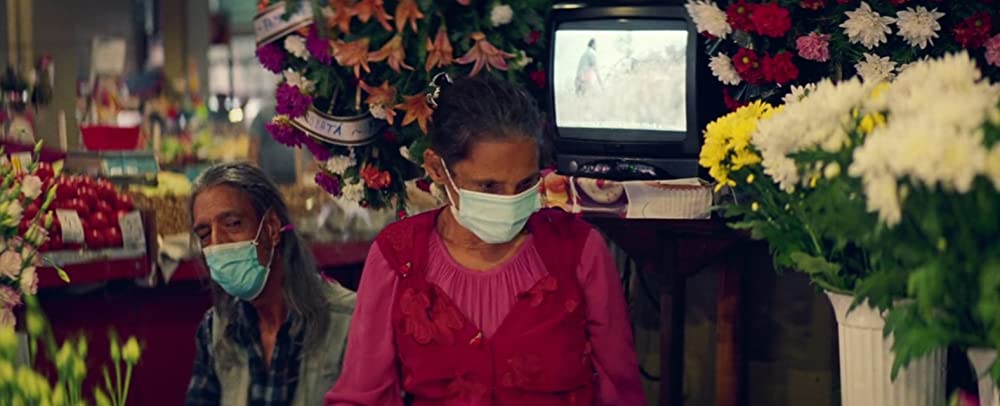 アンラッキー・セックス またはイカれたポルノの画像