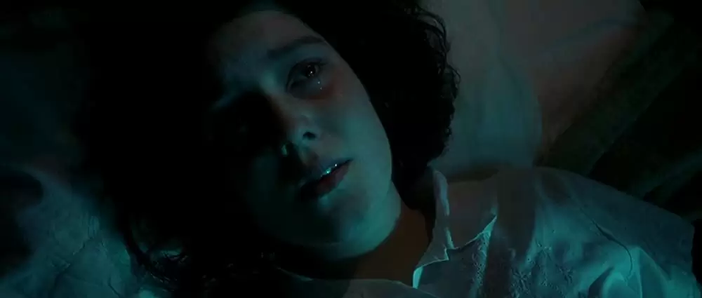 「乙女の祈り」メラニー・リンスキーの画像