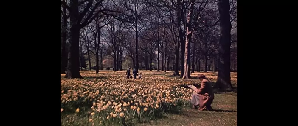 乙女の祈りの画像