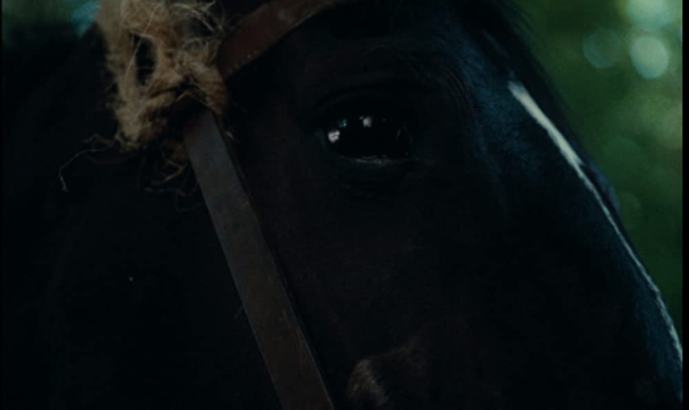 湖のランスロの画像