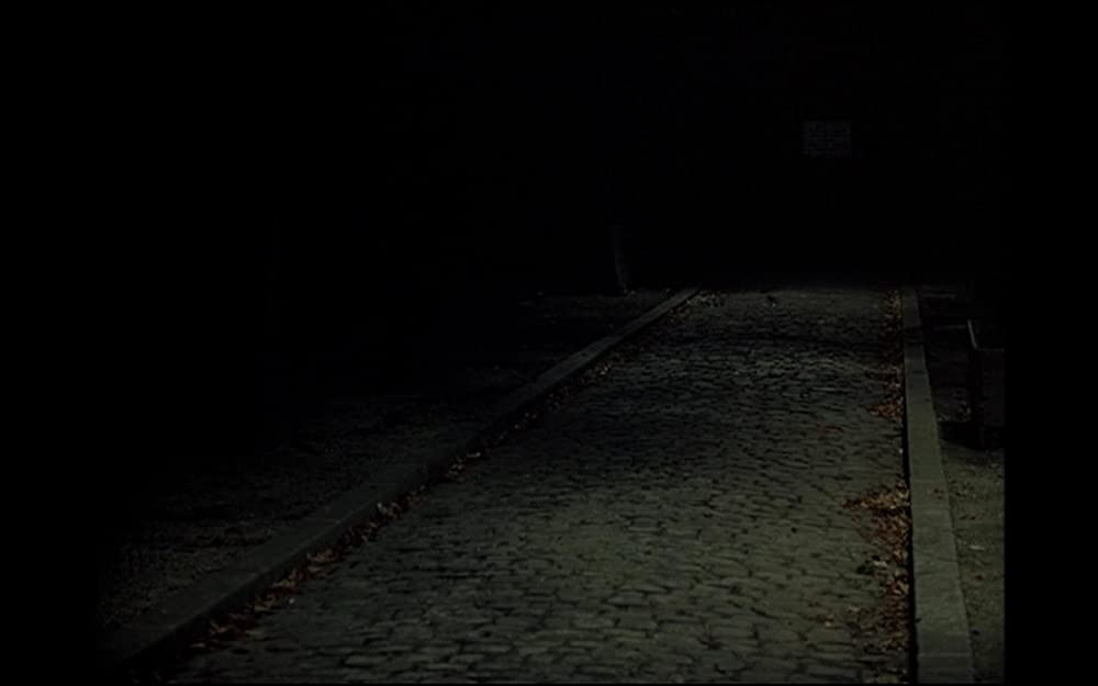 たぶん悪魔がの画像