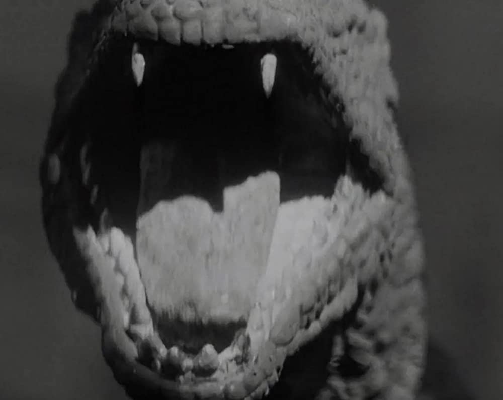 原子怪獣現わるの画像