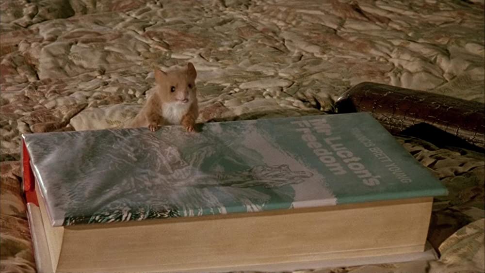 ジム・ヘンソンのウィッチズ/大魔女をやっつけろ！の画像