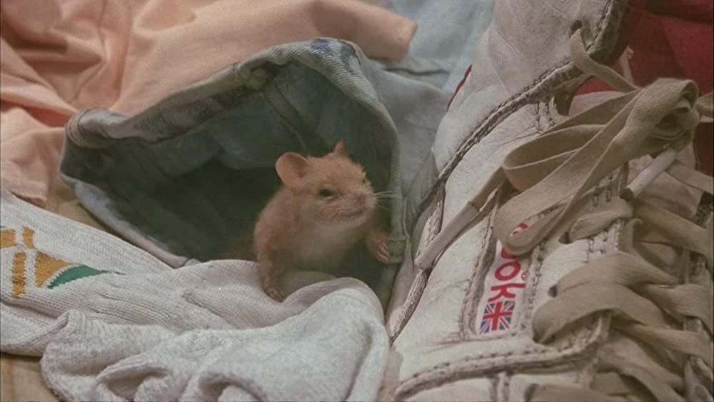 「ジム・ヘンソンのウィッチズ/大魔女をやっつけろ！」Jasen Fisherの画像