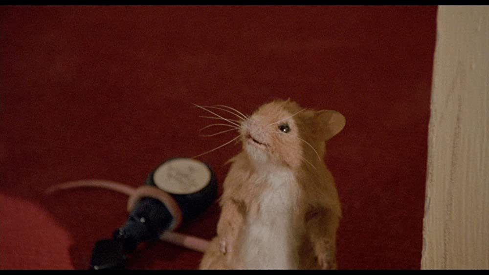 「ジム・ヘンソンのウィッチズ/大魔女をやっつけろ！」Jasen Fisherの画像