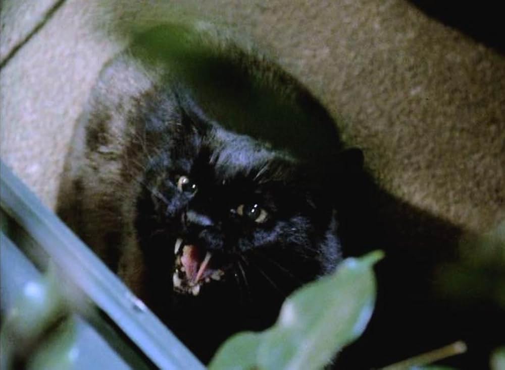 ジム・ヘンソンのウィッチズ/大魔女をやっつけろ！の画像