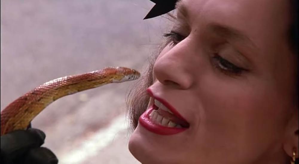 ジム・ヘンソンのウィッチズ/大魔女をやっつけろ！の画像