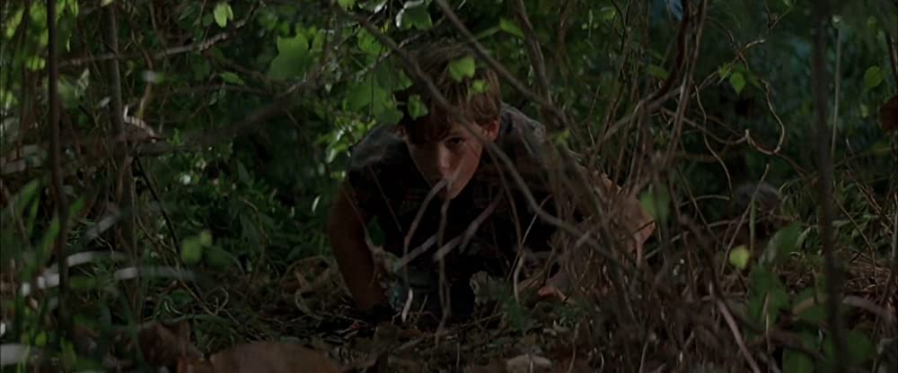 「依頼人（1994）」ブラッド・レンフロの画像