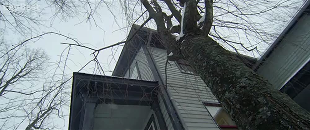 喰らう家の画像