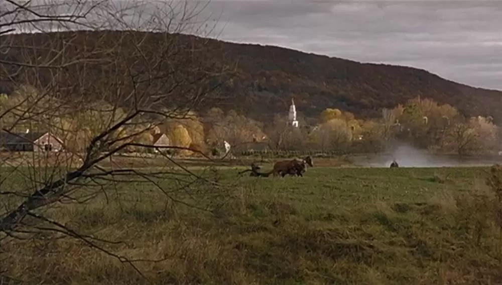 若草物語の画像