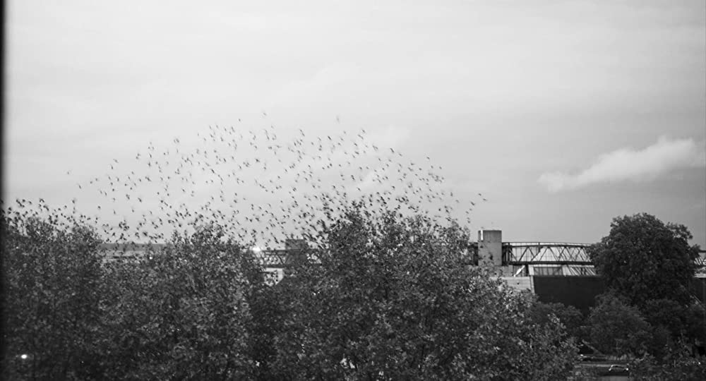 パリ13区の画像