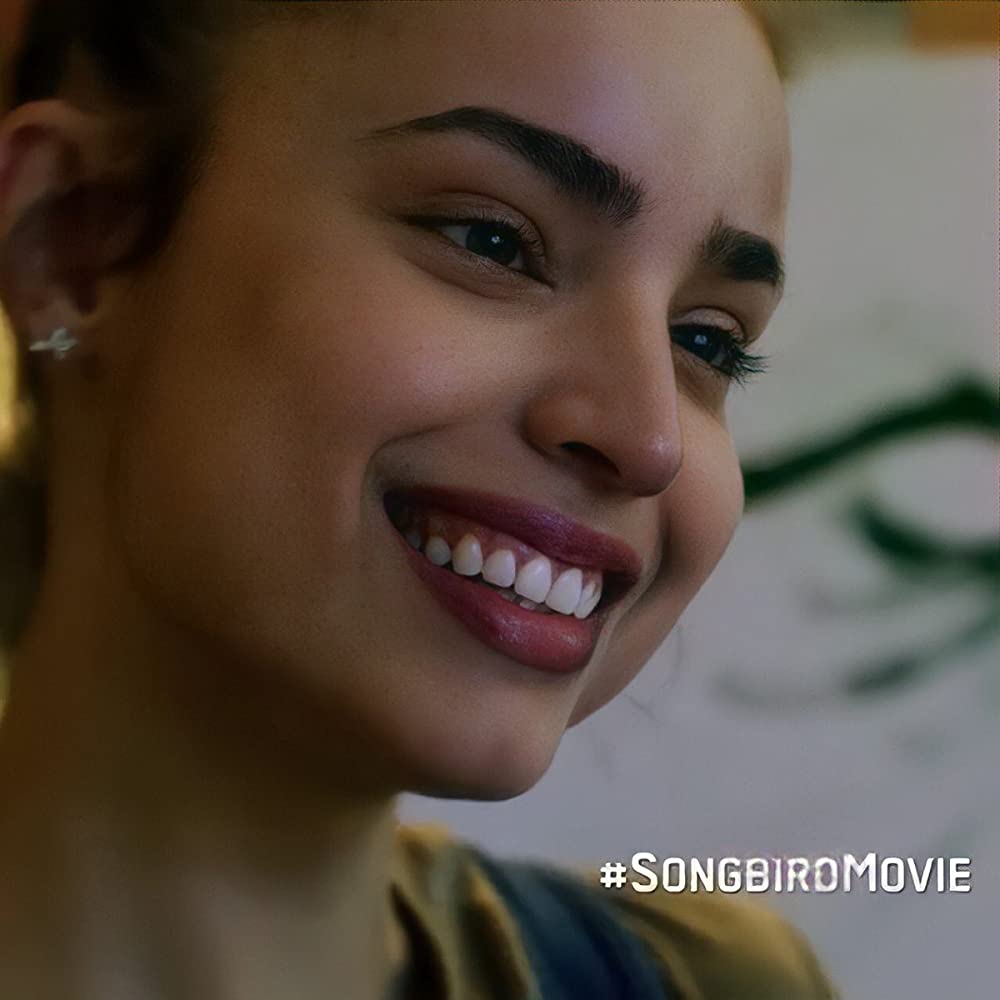 ソングバードの画像