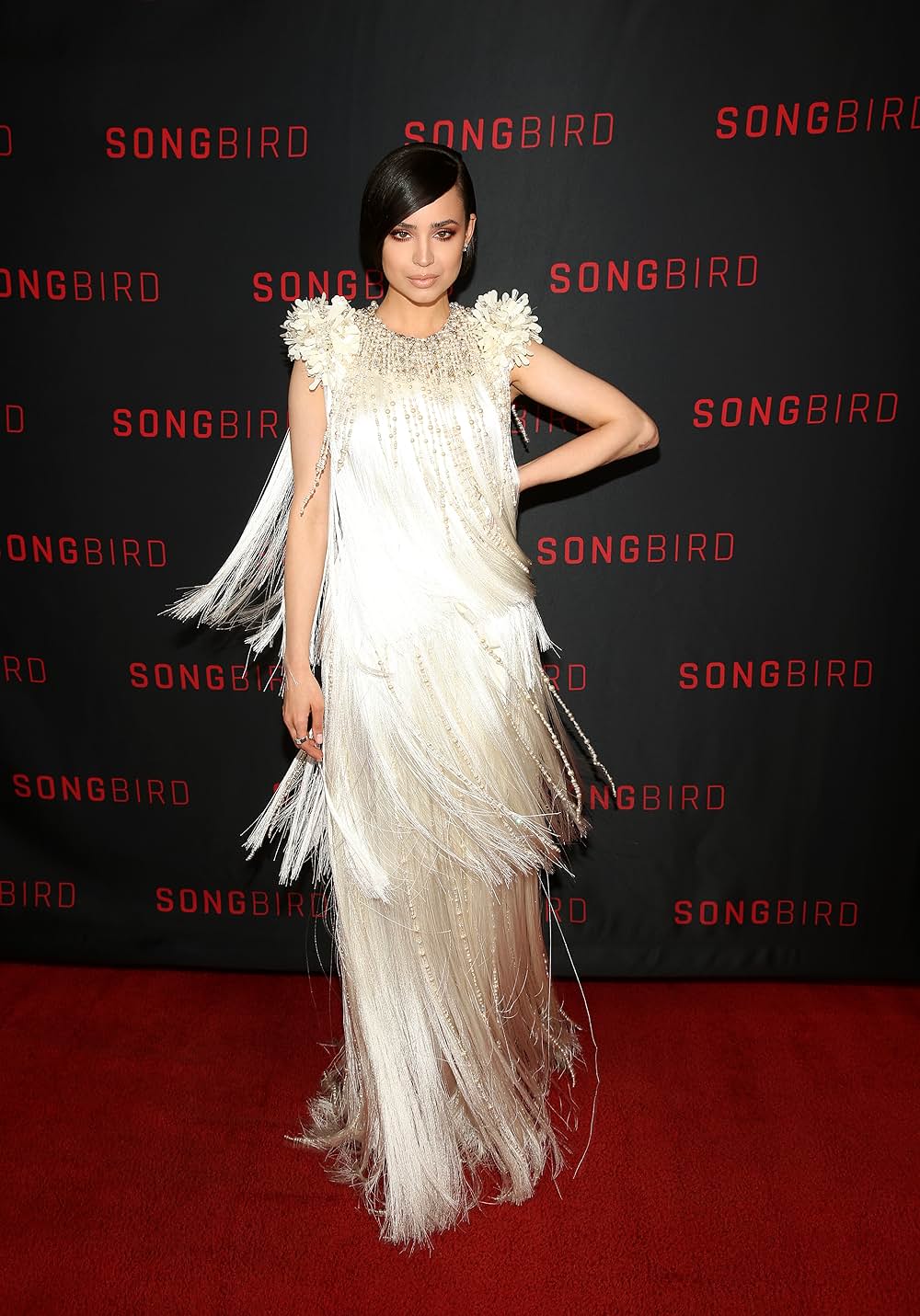 ソングバードの画像