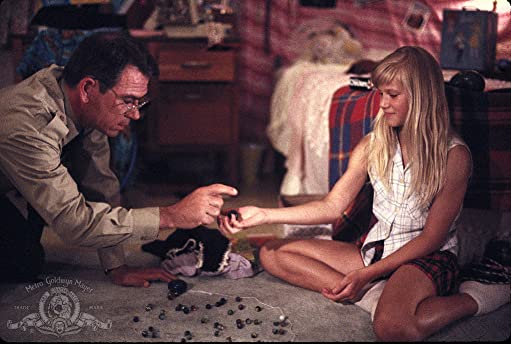 ブルースカイの画像