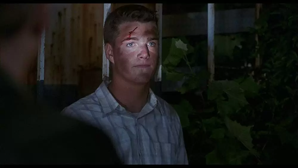 ブルースカイの画像