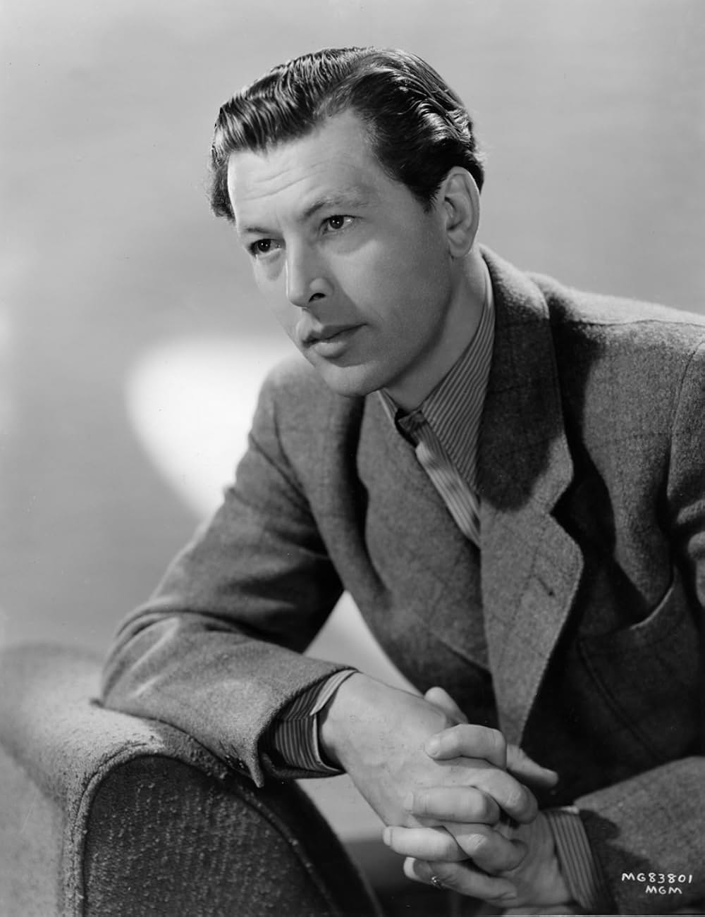 美人劇場の画像