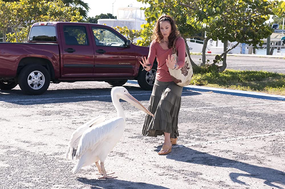 「イルカと少年」アシュレイ・ジャッドの画像