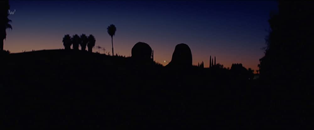 リコリス・ピザの画像