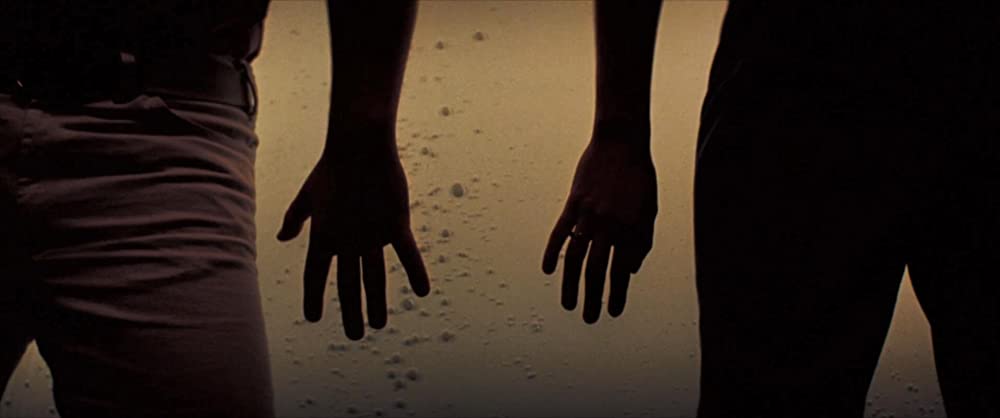 「リコリス・ピザ」アラナ・ハイムの画像